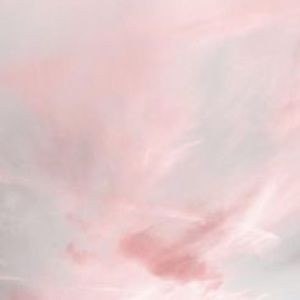 Meet your Posher, Stella